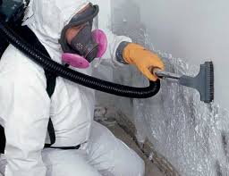 Best Mold Removal for HVAC Installations in Roseland, OH